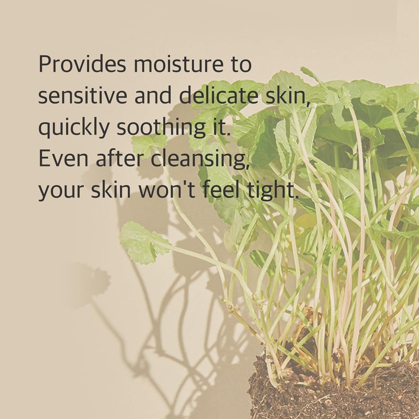 MIXSOON Centella Cleansing Foam (150ml)