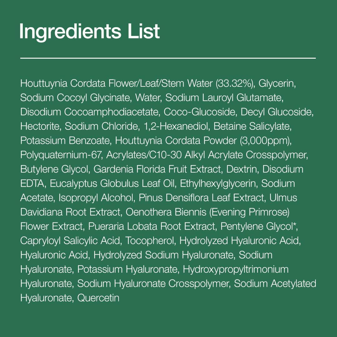 ANUA Heartleaf Quercetinol Pore Deep Cleansing Foam (150ml)