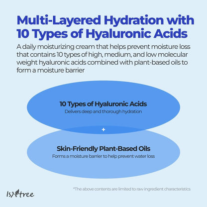 ISNTREE Hyaluronic Acid Moist Cream 100ml