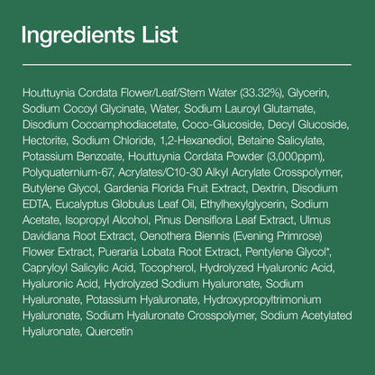 ANUA Heartleaf Quercetinol Pore Deep Cleansing Foam (150ml)