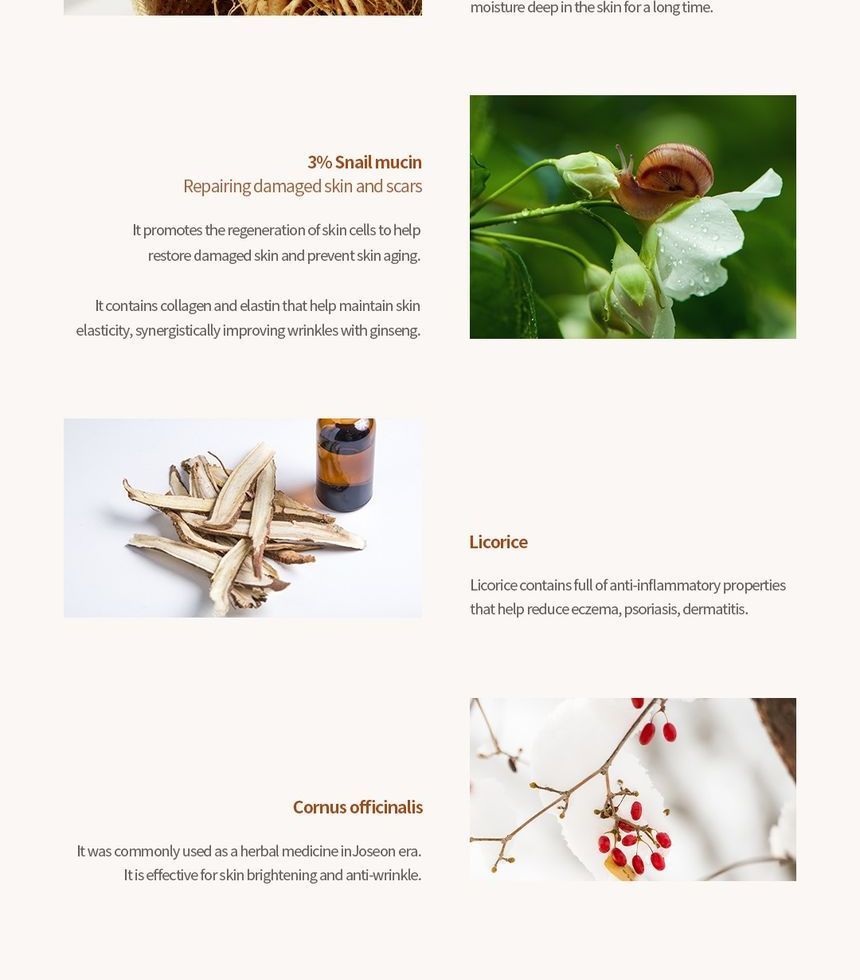 BEAUTY OF JOSEON Revive Serum 30ml
