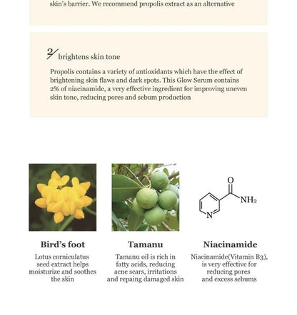 BEAUTY OF JOSEON Glow Serum Propolis + Niacinamide 30ml